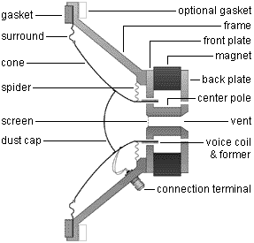 http://www.pispeakers.com/loudspeaker_cutaway.gif